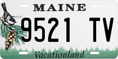 ME license plate 9521TV