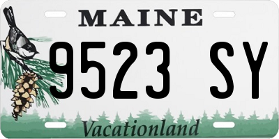 ME license plate 9523SY