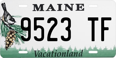 ME license plate 9523TF