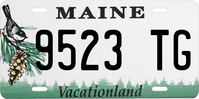 ME license plate 9523TG