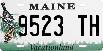 ME license plate 9523TH