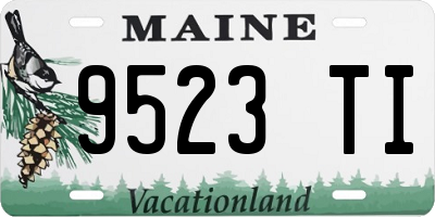 ME license plate 9523TI