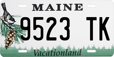 ME license plate 9523TK