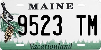 ME license plate 9523TM