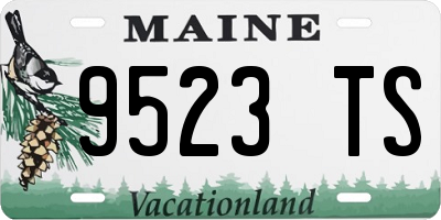 ME license plate 9523TS