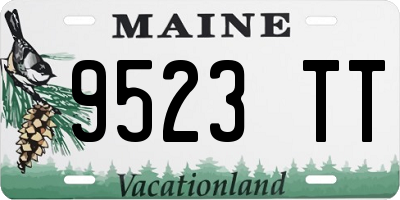 ME license plate 9523TT