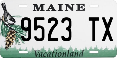 ME license plate 9523TX