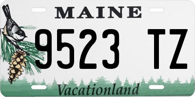 ME license plate 9523TZ