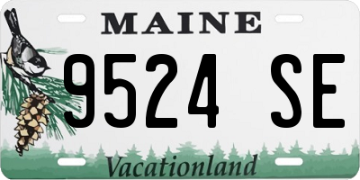 ME license plate 9524SE