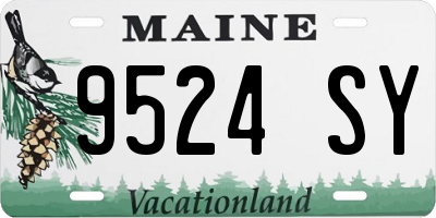 ME license plate 9524SY