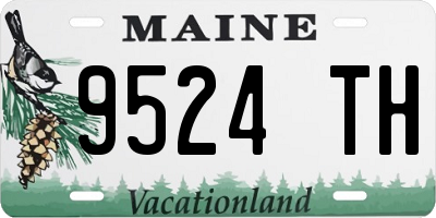 ME license plate 9524TH