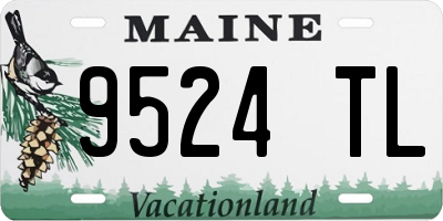 ME license plate 9524TL