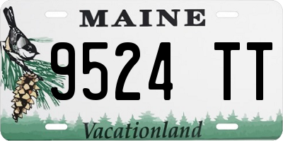 ME license plate 9524TT