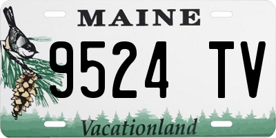 ME license plate 9524TV