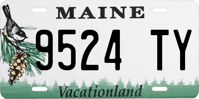 ME license plate 9524TY