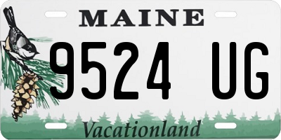 ME license plate 9524UG
