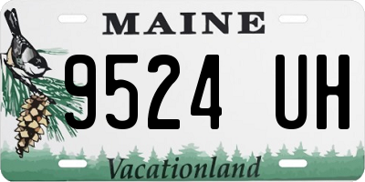 ME license plate 9524UH