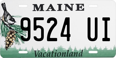 ME license plate 9524UI