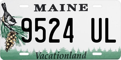ME license plate 9524UL