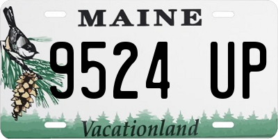 ME license plate 9524UP