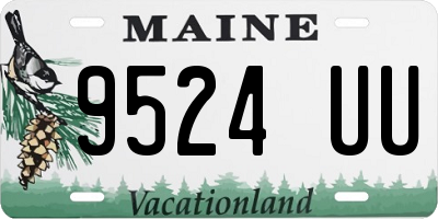 ME license plate 9524UU