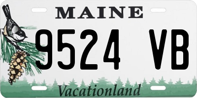 ME license plate 9524VB
