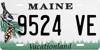 ME license plate 9524VE