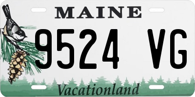 ME license plate 9524VG