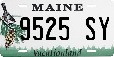 ME license plate 9525SY
