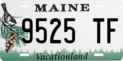 ME license plate 9525TF