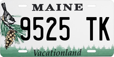 ME license plate 9525TK