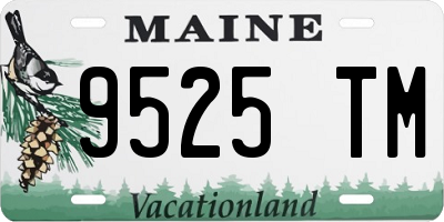 ME license plate 9525TM