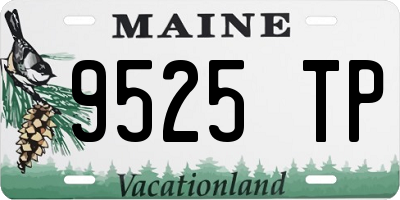 ME license plate 9525TP