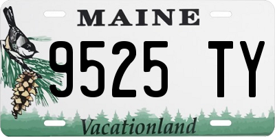 ME license plate 9525TY