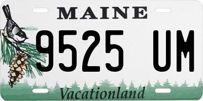 ME license plate 9525UM