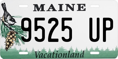 ME license plate 9525UP