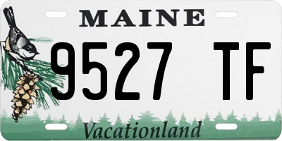 ME license plate 9527TF