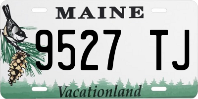 ME license plate 9527TJ