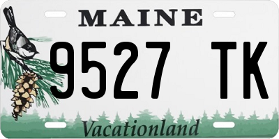 ME license plate 9527TK