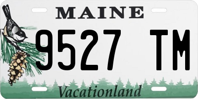 ME license plate 9527TM