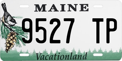 ME license plate 9527TP