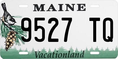 ME license plate 9527TQ