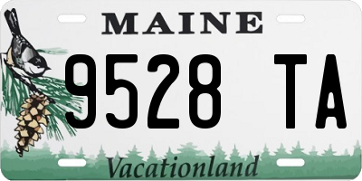 ME license plate 9528TA