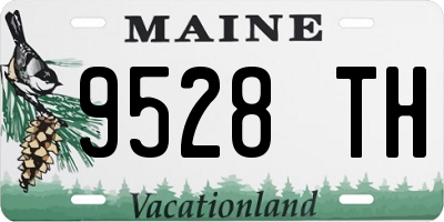 ME license plate 9528TH