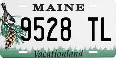 ME license plate 9528TL