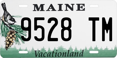 ME license plate 9528TM
