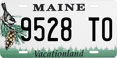 ME license plate 9528TO
