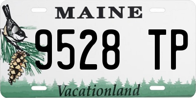 ME license plate 9528TP