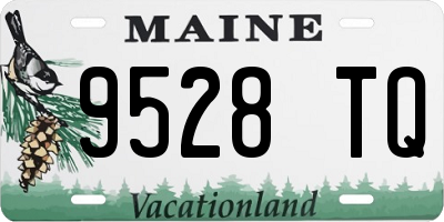 ME license plate 9528TQ