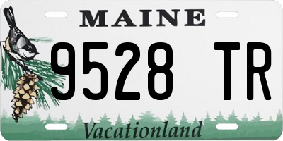ME license plate 9528TR